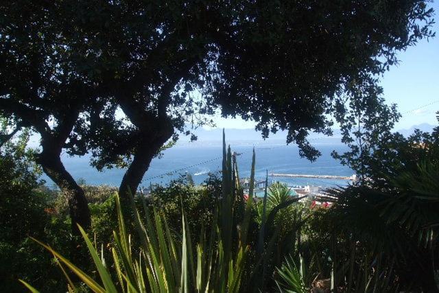 Apartamento Bienvenue Self Catering Mossel Bay Exterior foto
